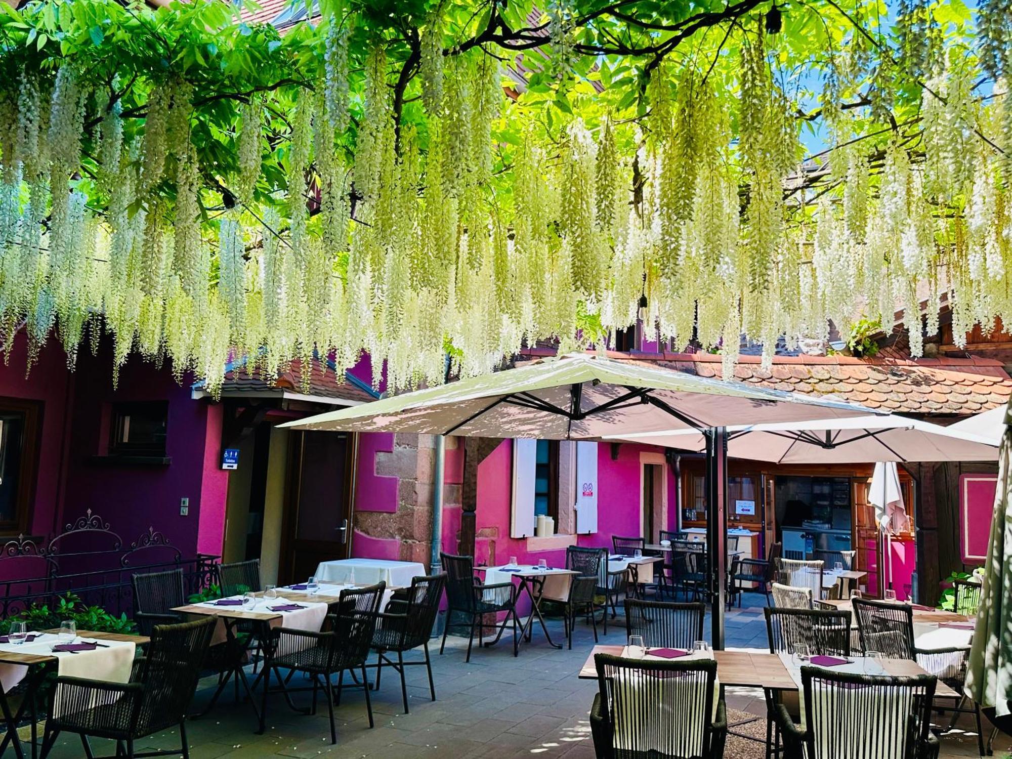 Auberge Le Meisenberg Châtenois Exterior foto