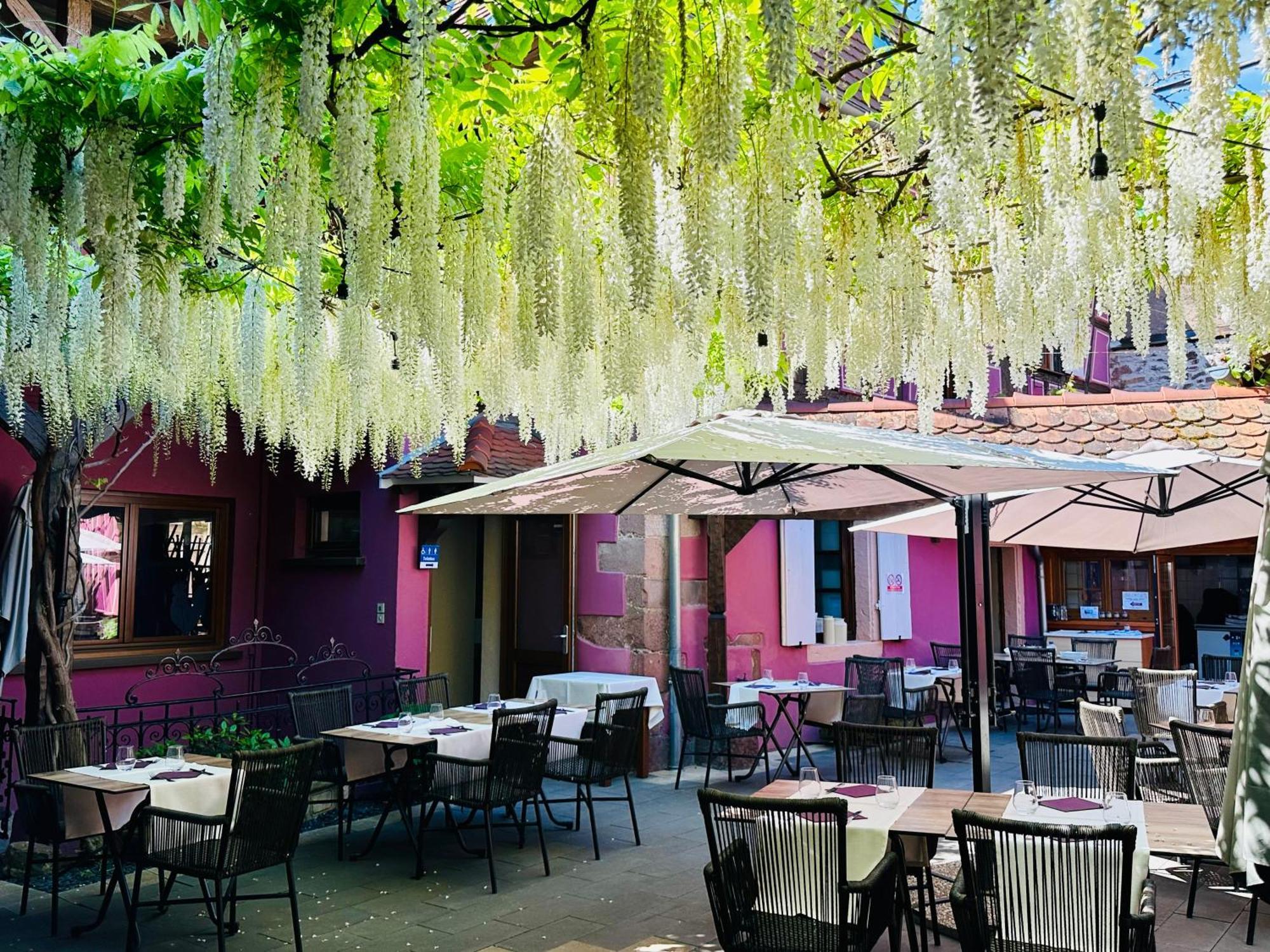 Auberge Le Meisenberg Châtenois Exterior foto